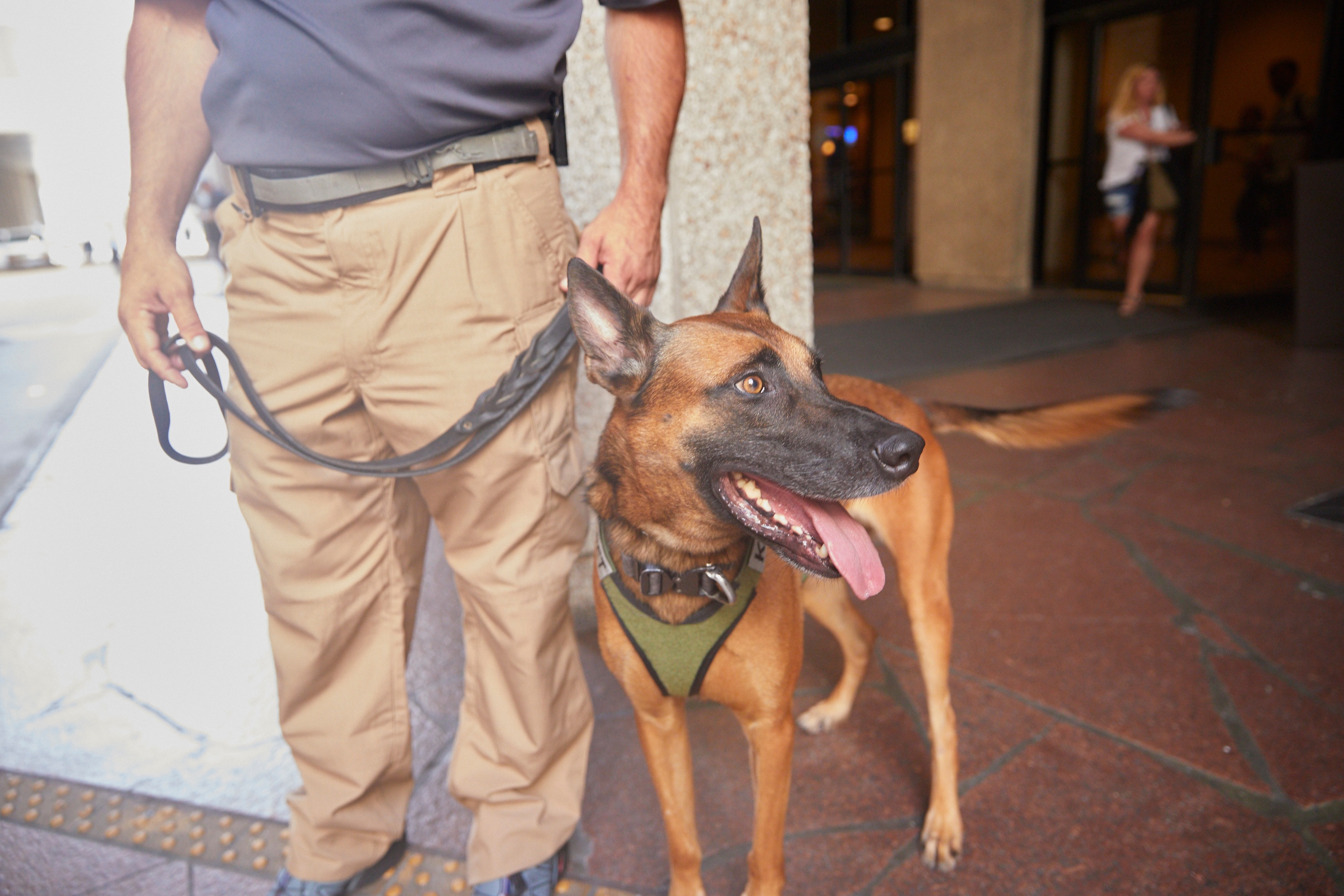 Joseph James and Max from Professional K-9 Solutions
