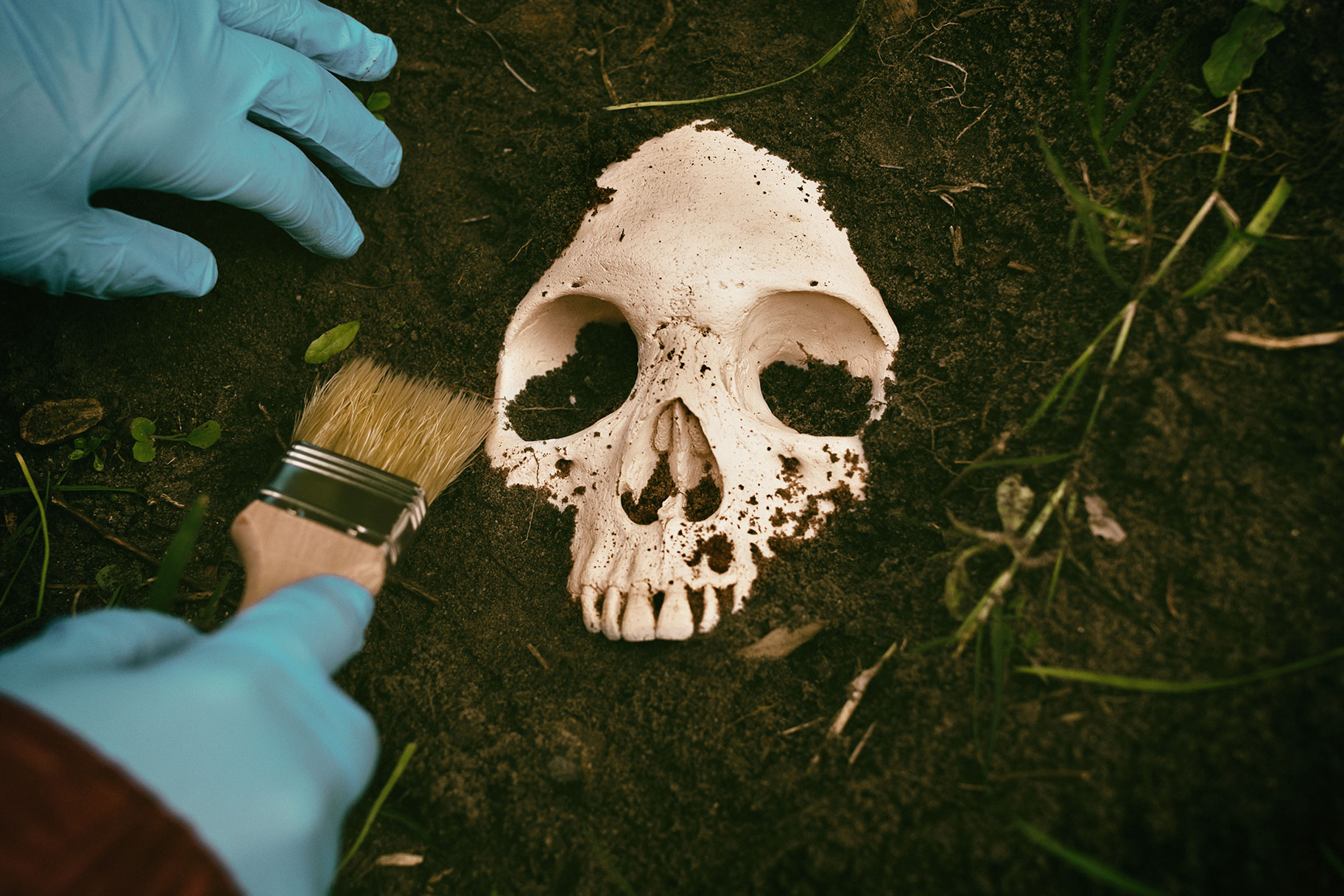 Exhumed Skull G