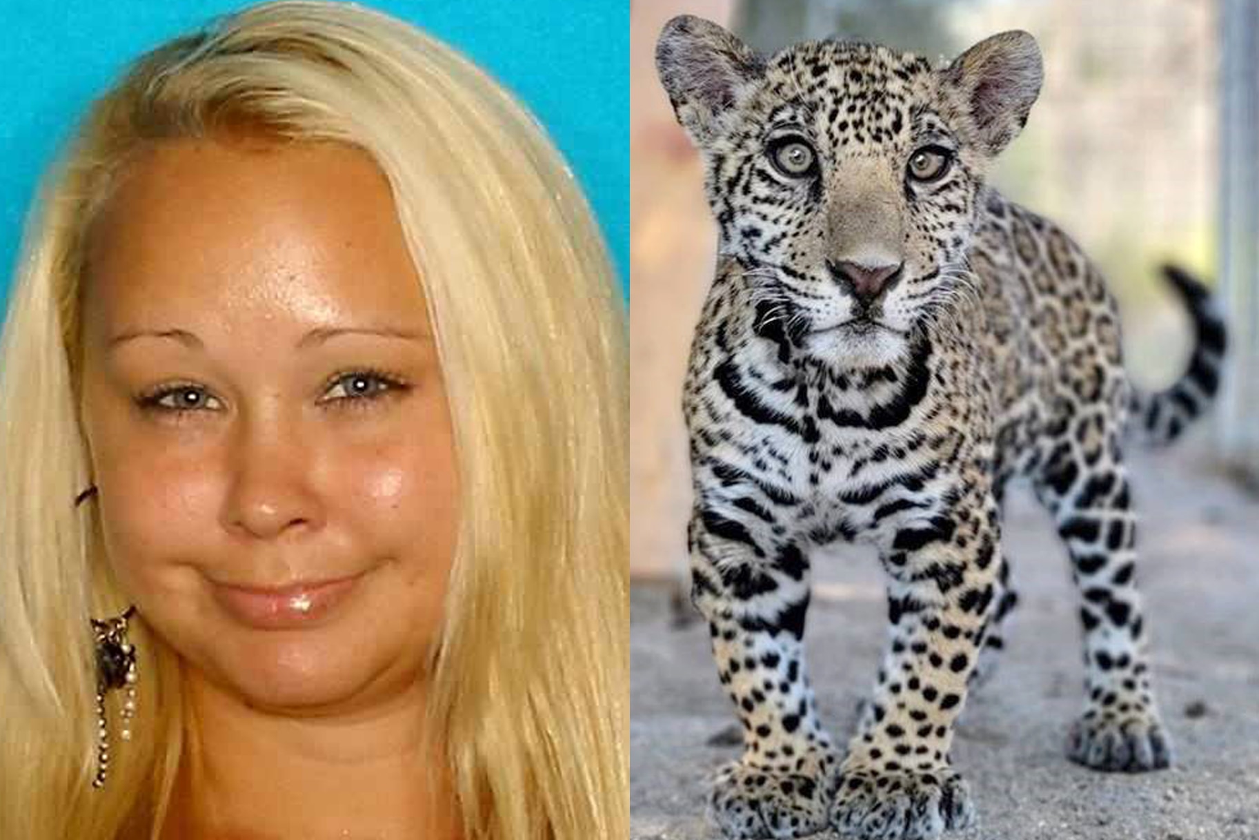 Trisha Meyer AKA "Mimi" and the jaguar cub