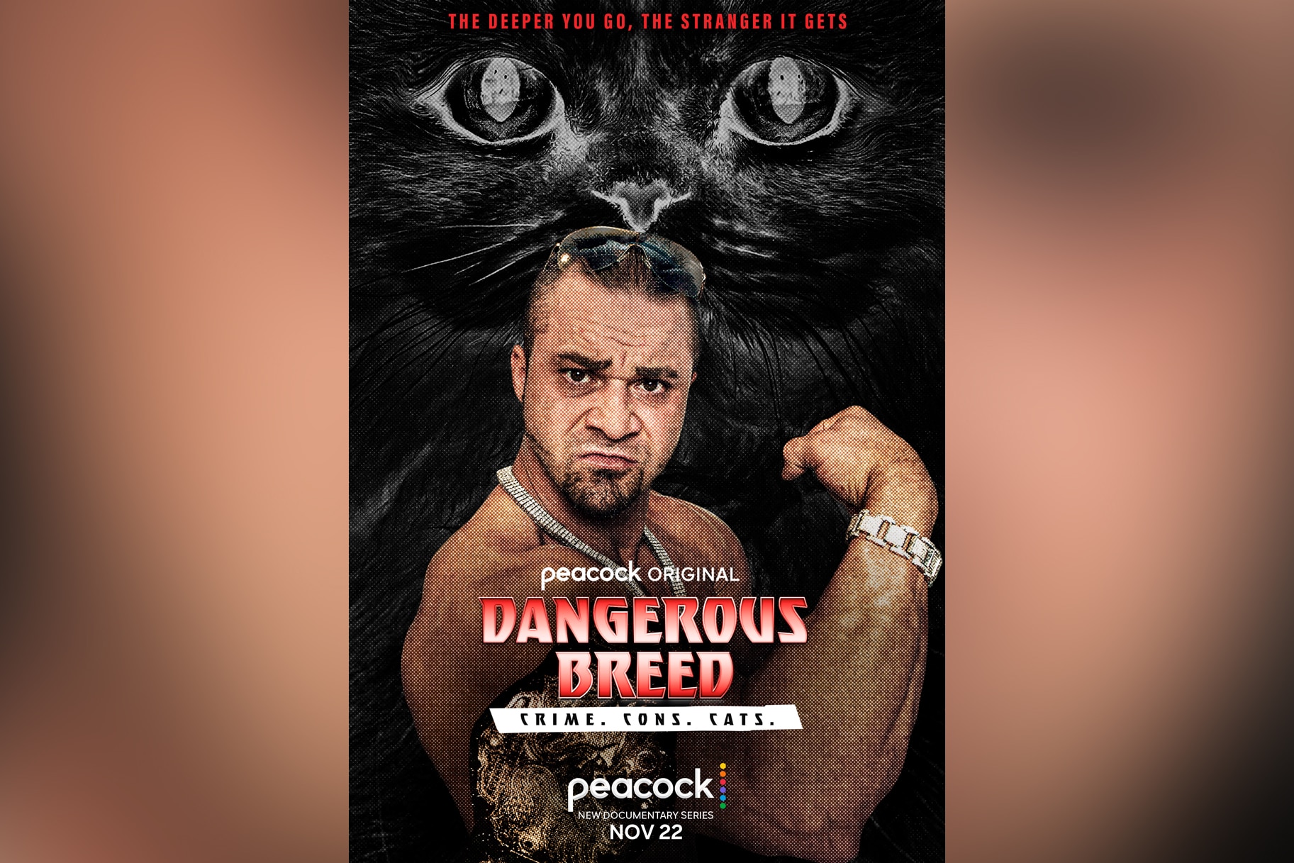 Dangerous Breed: Crime. Cons. Cats. show art