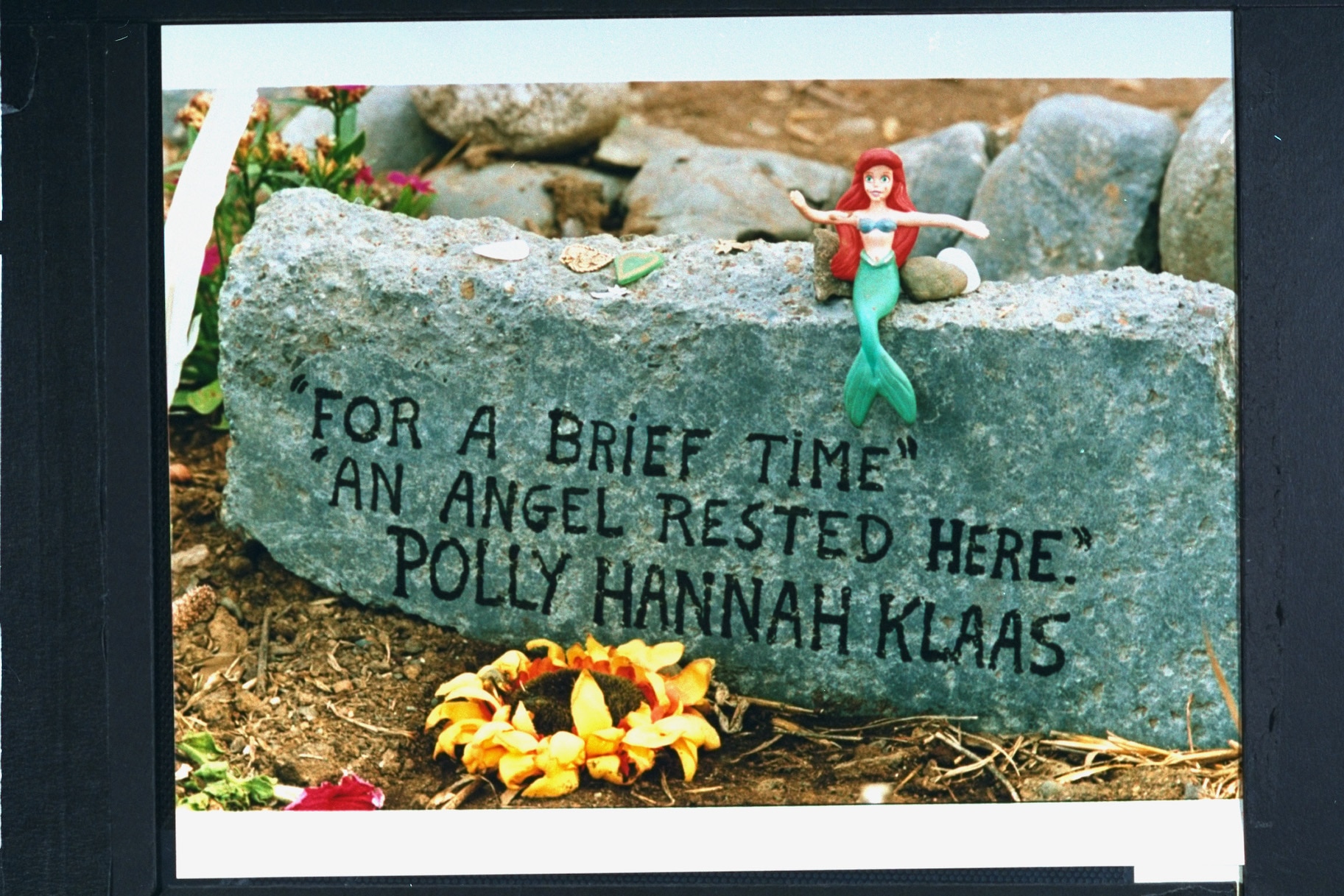 Closeup of stone emblazoned w. "FOR A BRIEF TIME AN ANGEL RESTED HERE: POLLY HANNAH KLAAS" with a The Little Mermaid figure sitting on top and yellow flowers in front.