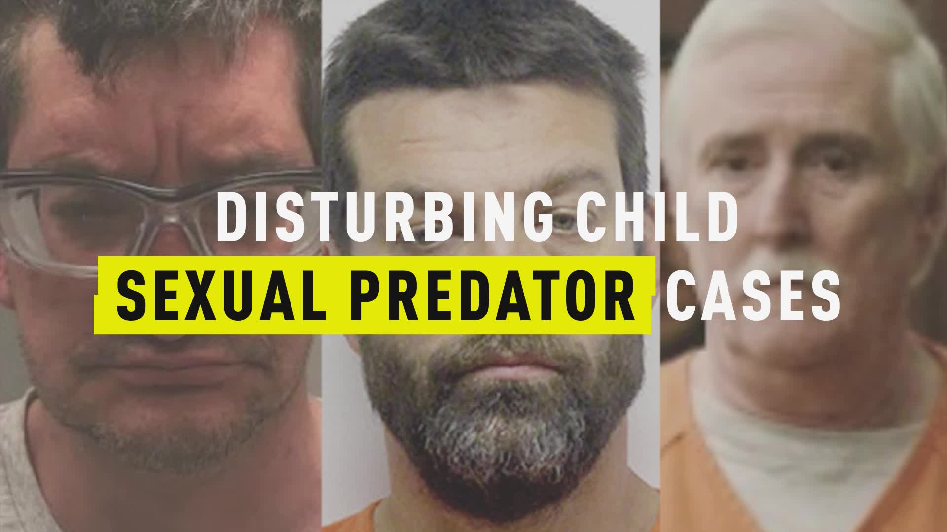Captioning Sex - Disturbing Child Sexual Predator Cases