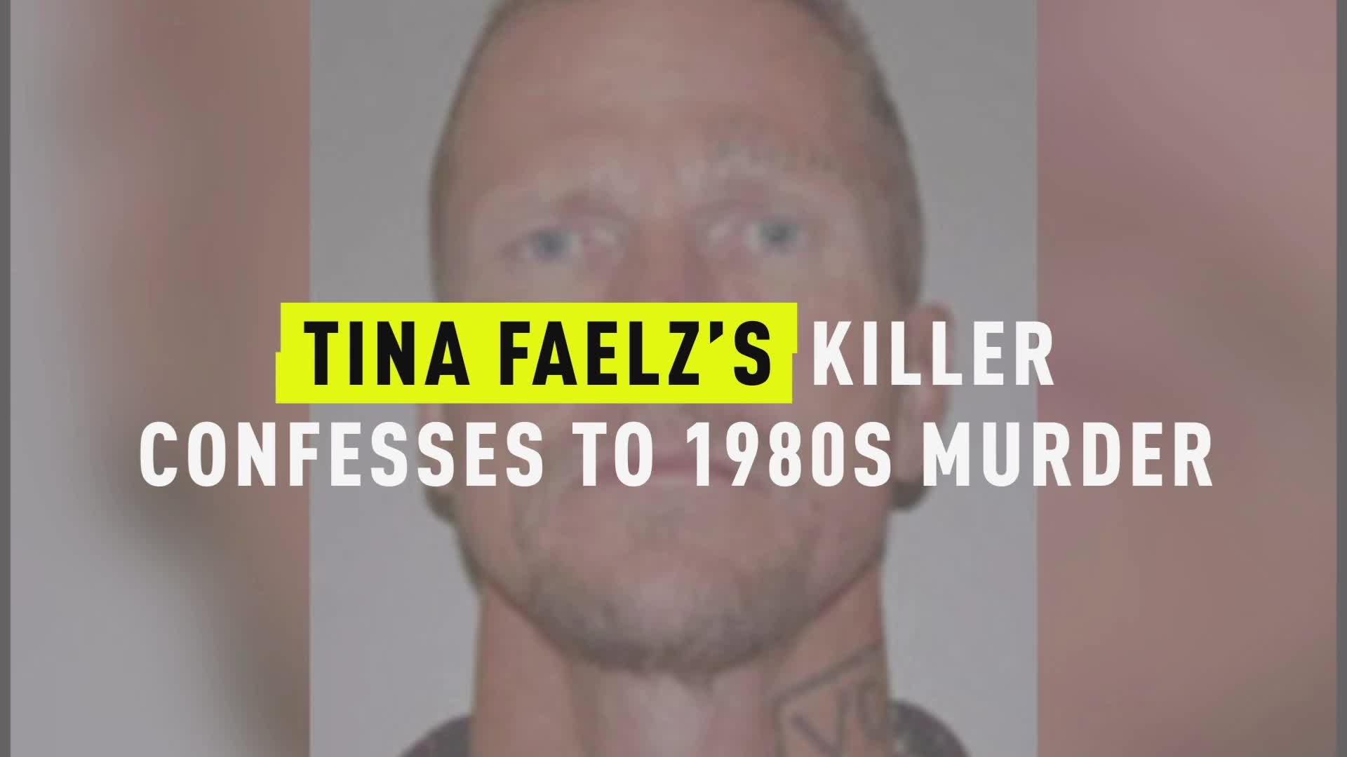 Tina Faelz Murder Prison Inmate Steven Carlson Confesses Crime News