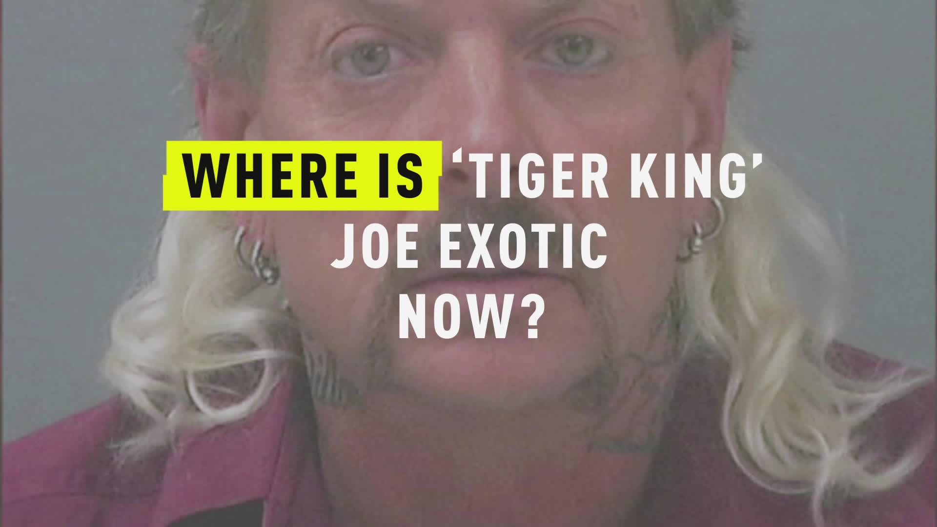 Tiger King What Happened To Joe Exotic S Zoo Employees True