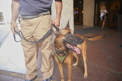 Joseph James and Max from Professional K-9 Solutions