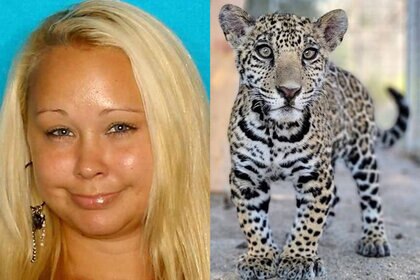 Trisha Meyer AKA "Mimi" and the jaguar cub