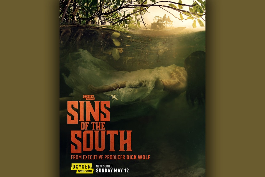 Artwork for Sins of the South