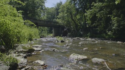 Pennsylvania Resident Discovers Body in a Creek