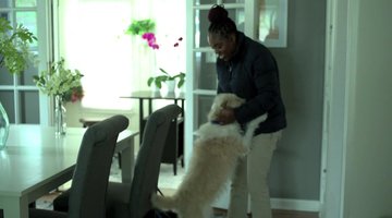 Lushonda Hall's Dog Is There to Meet Her When She Gets Home