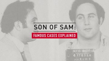 Son of Sam, Explained