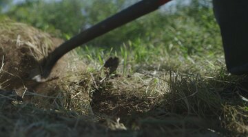 Buried in the Backyard Bonus: Finding The Remains of David Thomas (Season 2, Episode 14)