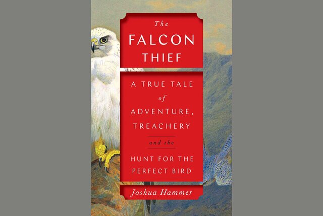 The Falcon Theif