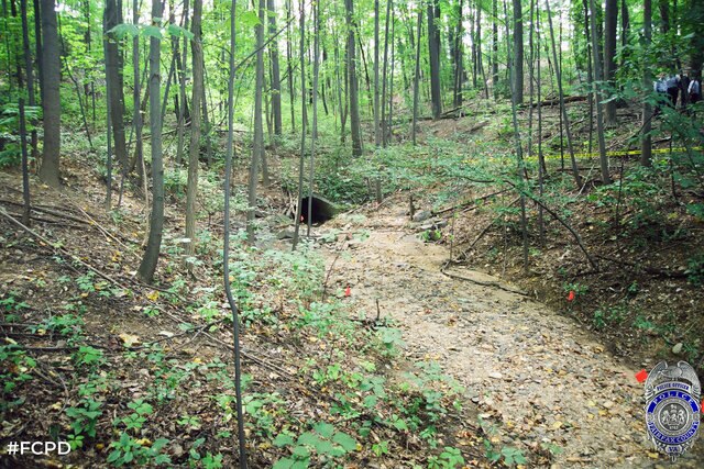 The Drainage Ditch where Patricia Gildawie's body was found