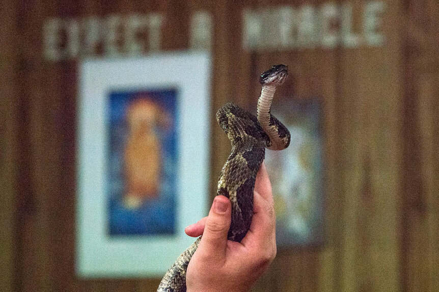 Religious Snake Handler G
