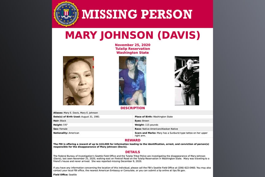 Mary Johnson Missing Poster Fbi